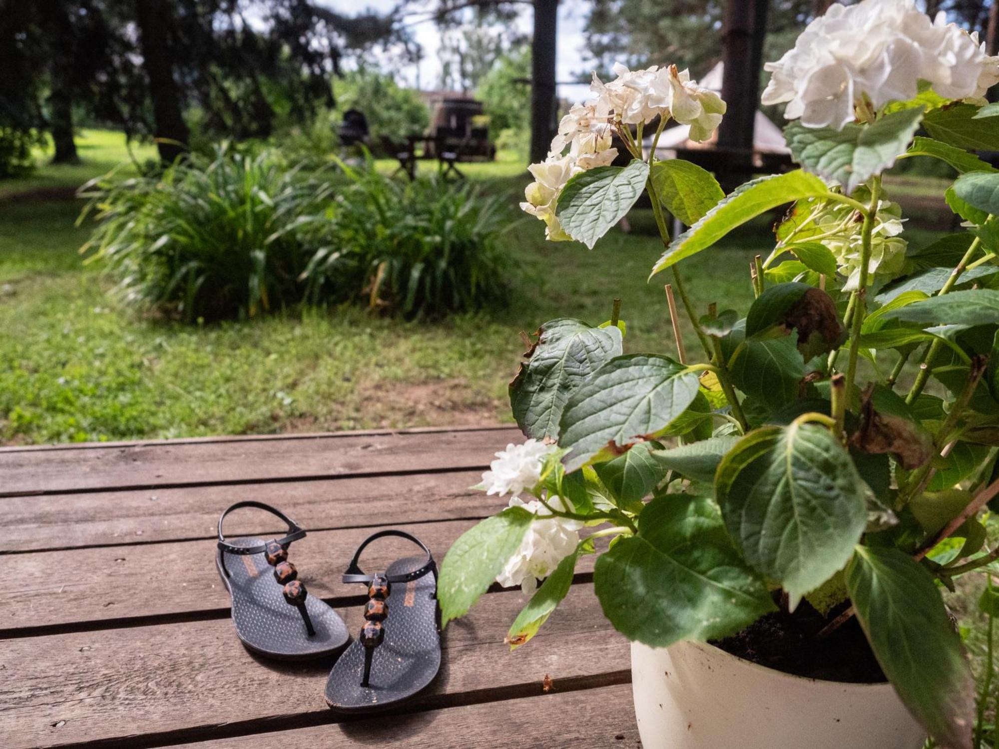 Mereaeaere Glamping Ja Rannamaja Liimala Extérieur photo