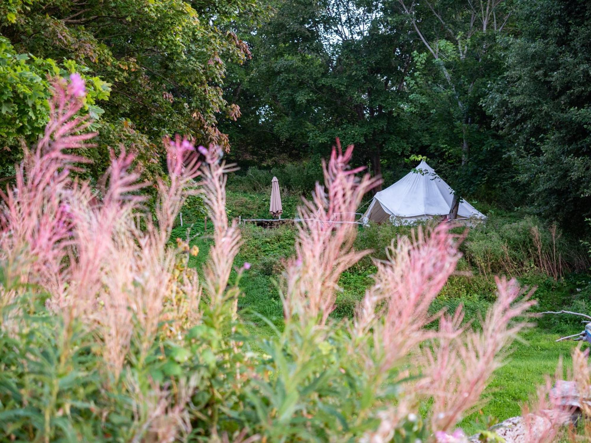 Mereaeaere Glamping Ja Rannamaja Liimala Extérieur photo