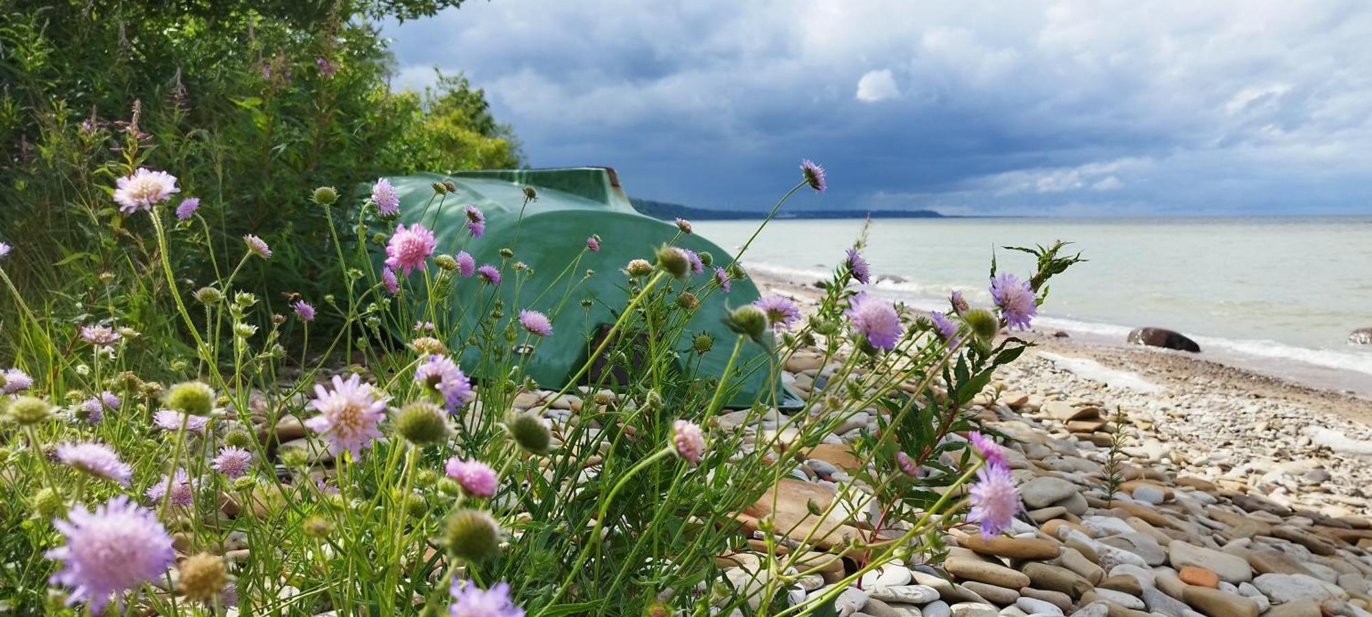 Mereaeaere Glamping Ja Rannamaja Liimala Extérieur photo