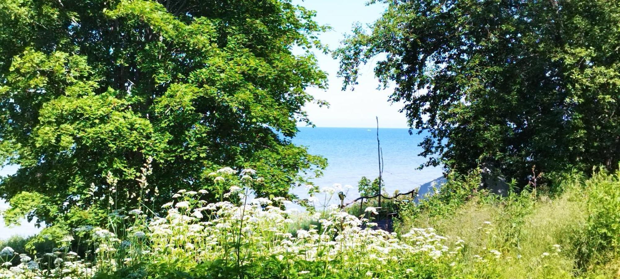 Mereaeaere Glamping Ja Rannamaja Liimala Extérieur photo